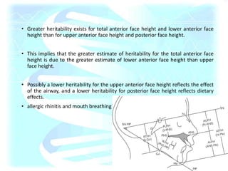• Greater heritability exists for total anterior face height and lower anterior face
height than for upper anterior face height and posterior face height.
• This implies that the greater estimate of heritability for the total anterior face
height is due to the greater estimate of lower anterior face height than upper
face height.
• Possibly a lower heritability for the upper anterior face height reflects the effect
of the airway, and a lower heritability for posterior face height reflects dietary
effects.
• allergic rhinitis and mouth breathing?
 