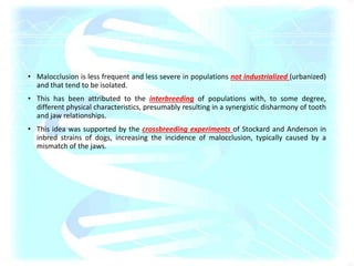 • Malocclusion is less frequent and less severe in populations not industrialized (urbanized)
and that tend to be isolated.
• This has been attributed to the interbreeding of populations with, to some degree,
different physical characteristics, presumably resulting in a synergistic disharmony of tooth
and jaw relationships.
• This idea was supported by the crossbreeding experiments of Stockard and Anderson in
inbred strains of dogs, increasing the incidence of malocclusion, typically caused by a
mismatch of the jaws.
 