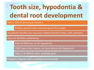56% to 92% of phenotypic variation
Primary second molars and permanent first molars.
Hypodontia-familial, but may occur without familial history, with syndrome
Gene for dentition patterening:-
MSX1 & PAX9-Non Sx AD Hypodontia
LTBP3 Gene-short stature, inc bone density-AR Hypodontia
10q11.2 & KROX26-other candidate gene
Polygenic influence with a multifactorial threshold
 