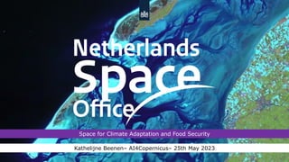 Netherlands Space Office 1
Space for Climate Adaptation and Food Security
Kathelijne Beenen– AI4Copernicus– 25th May 2023
 