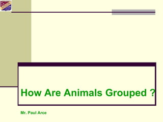 How Are Animals Grouped ? Mr. Paul Arce 