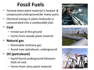 Fossil Fuels
• Formed when plant material is heated &
compressed underground for many years.
• Chemical energy in plant molecules is
concentrated into a combustible fuel.
• Coal
– mined out of the ground
– Forms from woody plant material
• Natural gas
– flammable methane gas
– found near petroleum, underground
• Oil (petroleum)
– liquid found underground between
folds of rock
– Forms from slimy plant material
 