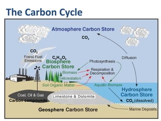 The Carbon Cycle
C6H12O6
CO2 (dissolved)
CO2
CO2
Carbon compounds
Geosphere
Hydrosphere
 
