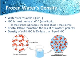 Frozen Water's Density
• Water freezes at 0° C (32o
F)
• H2O is most dense at 4° C (as a liquid)
– In most other substances, the solid phase is most dense
• Crystal lattice formation the result of water's polarity
• Density of solid H2O is 9% less than liquid H2O
 