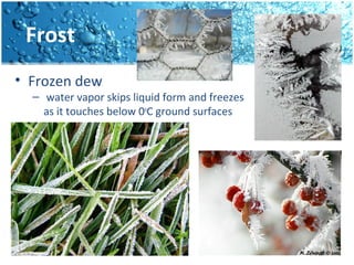 Frost
• Frozen dew
– water vapor skips liquid form and freezes
as it touches below 0o
C ground surfaces
 