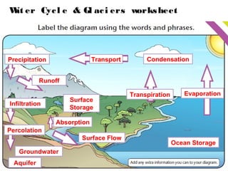 Wat er Cycl e & Gl aci ers worksheet
Precipitation Transport Condensation
Evaporation
Ocean Storage
Transpiration
Infiltration
Runoff
Aquifer
Groundwater
Surface
Storage
Absorption
Surface Flow
Percolation
 