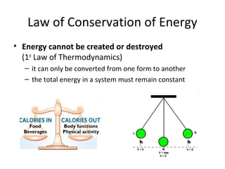 Law of Conservation of Energy
• Energy cannot be created or destroyed
(1st
Law of Thermodynamics)
– it can only be converted from one form to another
– the total energy in a system must remain constant
 