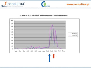 0
20
40
60
80
100
120
140
160
180
200
Mai Jun Jun Jul Jul Jul Ago Ago Set Set Out Out Nov
Machos
Fêmeas
CURVA DE VOO MÉDIA DA Bactrocera oleae – Mosca da azeitona
Azeitonas em início de maturação
Intervenção
 