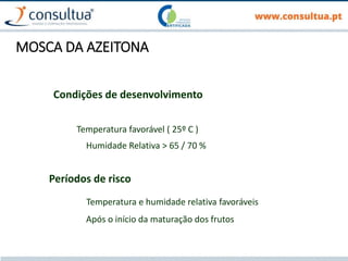 MOSCA DA AZEITONA
Condições de desenvolvimento
Temperatura favorável ( 25º C )
Humidade Relativa > 65 / 70 %
Períodos de risco
Temperatura e humidade relativa favoráveis
Após o início da maturação dos frutos
 