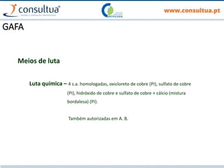 GAFA
Meios de luta
Luta química – 4 s.a. homologadas, oxicloreto de cobre (PI), sulfato de cobre
(PI), hidróxido de cobre e sulfato de cobre + cálcio (mistura
bordalesa) (PI).
Também autorizadas em A. B.
 