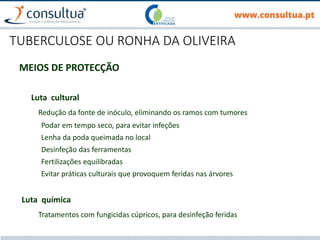 TUBERCULOSE OU RONHA DA OLIVEIRA
MEIOS DE PROTECÇÃO
Luta cultural
Redução da fonte de inóculo, eliminando os ramos com tumores
Podar em tempo seco, para evitar infeções
Lenha da poda queimada no local
Desinfeção das ferramentas
Fertilizações equilibradas
Evitar práticas culturais que provoquem feridas nas árvores
Luta química
Tratamentos com fungicidas cúpricos, para desinfeção feridas
 
