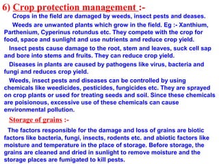 6) Crop protection management :-
Crops in the field are damaged by weeds, insect pests and deases.
Weeds are unwanted plants which grow in the field. Eg :- Xanthium,
Parthenium, Cyperinus rotundus etc. They compete with the crop for
food, space and sunlight and use nutrients and reduce crop yield.
Insect pests cause damage to the root, stem and leaves, suck cell sap
and bore into stems and fruits. They can reduce crop yield.
Diseases in plants are caused by pathogens like virus, bacteria and
fungi and reduces crop yield.
Weeds, insect pests and diseases can be controlled by using
chemicals like weedicides, pesticides, fungicides etc. They are sprayed
on crop plants or used for treating seeds and soil. Since these chemicals
are poisionous, excessive use of these chemicals can cause
environmental pollution.
Storage of grains :-
The factors responsible for the damage and loss of grains are biotic
factors like bacteria, fungi, insects, rodents etc. and abiotic factors like
moisture and temperature in the place of storage. Before storage, the
grains are cleaned and dried in sunlight to remove moisture and the
storage places are fumigated to kill pests.
 