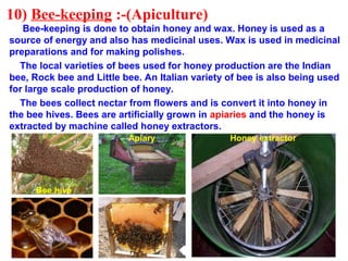 10) Bee-keeping :-(Apiculture)
Bee-keeping is done to obtain honey and wax. Honey is used as a
source of energy and also has medicinal uses. Wax is used in medicinal
preparations and for making polishes.
The local varieties of bees used for honey production are the Indian
bee, Rock bee and Little bee. An Italian variety of bee is also being used
for large scale production of honey.
The bees collect nectar from flowers and is convert it into honey in
the bee hives. Bees are artificially grown in apiaries and the honey is
extracted by machine called honey extractors.
Honey extractorApiary
Bee hive
 