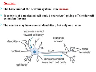15 Insect nervous system.pptx entomology agriculture | PPTX