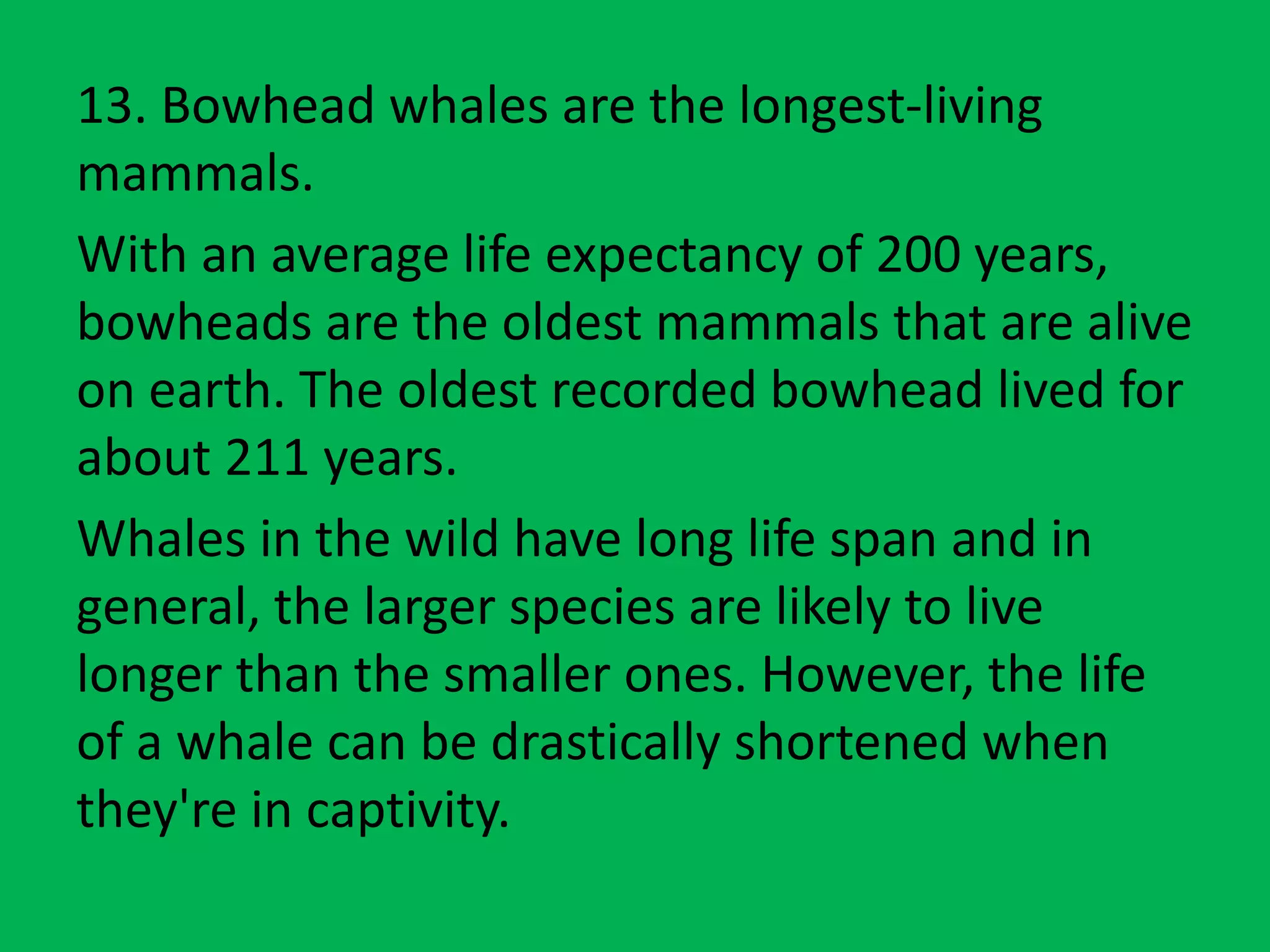 15 interesting facts abouts whales.pptx