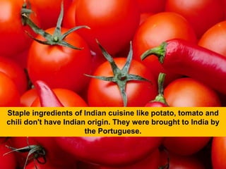 Staple ingredients of Indian cuisine like potato, tomato and
chili don't have Indian origin. They were brought to India by...