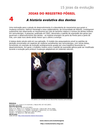 15 joias da evolução
                                 JOIAS DO REGISTRO FÓSSIL

4                             A história evolutiva dos dentes

Uma motivação para o estudo do desenvolvimento é a descoberta de mecanismos que guiam a
mudança evolutiva. Kathryn Kavanagh e seus colaboradores, da Universidade de Helsinki, investigaram
justamente isso observando os mecanismos por trás do tamanho relativo e número de dentes molares
em camundongos. A pesquisa, publicada em 2007, desvendou o padrão de expressão dos genes que
governam o desenvolvimento dos dentes - os molares emergem da parte da frente para a parte de
trás, com cada novo dente sendo menor que o último a emergir.

A beleza deste estudo está em sua aplicação. O modelo dos pesquisadores prevê os padrões de
dentição encontrados em espécies de roedores semelhantes aos camundongos, com várias dietas,
fornecendo um exemplo de evolução ecologicamente guiada por uma trajetória favorecida no
desenvolvimento. Em geral, o trabalho mostra como o padrão de expressão gênica pode ser modificado
durante a evolução para produzir mudanças adaptativas em sistemas naturais.




                                       Um adulto e um embrião de 12,5 dias de Mus musculus (camundongo).


Referência
Kavanagh, K. D., Evans, A. R. & Jernvall, J. Nature 449, 427–432 (2007).
Recursos adicionais
Polly, P. D. Nature 449, 413–415 (2007).
Evans, A. R., Wilson, G. P., Fortelius, M. & Jernvall, J. Nature 445, 78–81 (2006).
Kangas, A. T., Evans, A. R., Thesleff, I. & Jernvall, J. Nature 432, 211–214 (2004).
Jernvall, J. & Fortelius, M. Nature 417, 538–540 (2002).
Theodor, J. M. Nature 417, 498–499 (2002).
Site do autor
Jukka Jernvall: http://www.biocenter.helsinki.fi/bi/evodevo



                                                      www.nature.com/evolutiongems

                                                       http://evolucionismo.ning.com
 