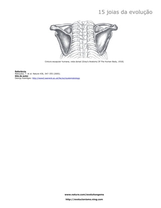 15 joias da evolução




                             Cintura escapular humana, vista dorsal (Gray's Anatomy Of The Human Body, 1918)




Referência
Matsuoka, T. et al. Nature 436, 347–355 (2005).
Site do autor
Georgy Koentges: http://www2.warwick.ac.uk/fac/sci/systemsbiology




                                                 www.nature.com/evolutiongems

                                                  http://evolucionismo.ning.com
 