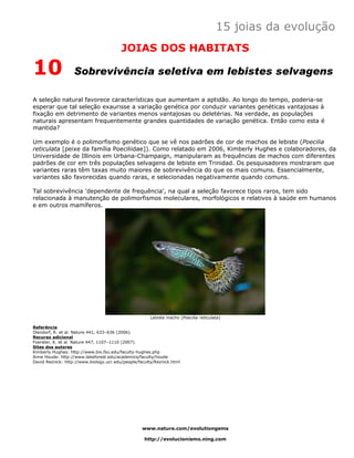 15 joias da evolução
                                         JOIAS DOS HABITATS

10                 Sobrevivência seletiva em lebistes selvagens

A seleção natural favorece características que aumentam a aptidão. Ao longo do tempo, poderia-se
esperar que tal seleção exaurisse a variação genética por conduzir variantes genéticas vantajosas à
fixação em detrimento de variantes menos vantajosas ou deletérias. Na verdade, as populações
naturais apresentam frequentemente grandes quantidades de variação genética. Então como esta é
mantida?

Um exemplo é o polimorfismo genético que se vê nos padrões de cor de machos de lebiste (Poecilia
reticulata [peixe da família Poeciliidae]). Como relatado em 2006, Kimberly Hughes e colaboradores, da
Universidade de Illinois em Urbana-Champaign, manipularam as frequências de machos com diferentes
padrões de cor em três populações selvagens de lebiste em Trinidad. Os pesquisadores mostraram que
variantes raras têm taxas muito maiores de sobrevivência do que os mais comuns. Essencialmente,
variantes são favorecidas quando raras, e selecionadas negativamente quando comuns.

Tal sobrevivência 'dependente de frequência', na qual a seleção favorece tipos raros, tem sido
relacionada à manutenção de polimorfismos moleculares, morfológicos e relativos à saúde em humanos
e em outros mamíferos.




                                                       Lebiste macho (Poecilia reticulata)

Referência
Olendorf, R. et al. Nature 441, 633–636 (2006).
Recurso adicional
Foerster, K. et al. Nature 447, 1107–1110 (2007).
Sites dos autores
Kimberly Hughes: http://www.bio.fsu.edu/faculty-hughes.php
Anne Houde: http://www.lakeforest.edu/academics/faculty/houde
David Reznick: http://www.biology.ucr.edu/people/faculty/Reznick.html




                                                   www.nature.com/evolutiongems

                                                    http://evolucionismo.ning.com
 