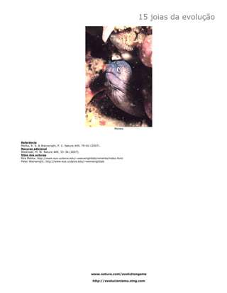 15 joias da evolução




                                                                  Moreia




Referência
Mehta, R. S. & Wainwright, P. C. Nature 449, 79–82 (2007).
Recurso adicional
Westneat, M. W. Nature 449, 33–34 (2007).
Sites dos autores
Rita Mehta: http://www.eve.ucdavis.edu/~wainwrightlab/rsmehta/index.html
Peter Wainwright: http://www.eve.ucdavis.edu/~wainwrightlab




                                                 www.nature.com/evolutiongems

                                                  http://evolucionismo.ning.com
 