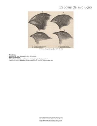 15 joias da evolução




                                                 Tentilhões das galápagos (por John Gould)




Referência
Abzhanov, A. et al. Nature 442, 563–567 (2006).
Sites dos autores
Clifford Tabin: http://www.hms.harvard.edu/dms/bbs/fac/tabin.html
Peter Grant: http://www.eeb.princeton.edu/FACULTY/Grant_P/grantPeter.html




                                                 www.nature.com/evolutiongems

                                                  http://evolucionismo.ning.com
 