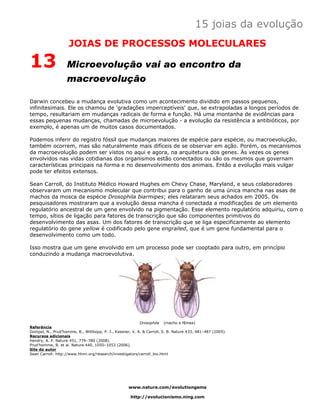 15 joias da evolução
                    JOIAS DE PROCESSOS MOLECULARES

13                 Microevolução vai ao encontro da
                   macroevolução

Darwin concebeu a mudança evolutiva como um acontecimento dividido em passos pequenos,
infinitesimais. Ele os chamou de 'gradações imperceptíveis' que, se extrapoladas a longos períodos de
tempo, resultariam em mudanças radicais de forma e função. Há uma montanha de evidências para
essas pequenas mudanças, chamadas de microevolução - a evolução da resistência a antibióticos, por
exemplo, é apenas um de muitos casos documentados.

Podemos inferir do registro fóssil que mudanças maiores de espécie para espécie, ou macroevolução,
também ocorrem, mas são naturalmente mais difíceis de se observar em ação. Porém, os mecanismos
da macroevolução podem ser vistos no aqui e agora, na arquitetura dos genes. Às vezes os genes
envolvidos nas vidas cotidianas dos organismos estão conectados ou são os mesmos que governam
características principais na forma e no desenvolvimento dos animais. Então a evolução mais vulgar
pode ter efeitos extensos.

Sean Carroll, do Instituto Médico Howard Hughes em Chevy Chase, Maryland, e seus colaboradores
observaram um mecanismo molecular que contribui para o ganho de uma única mancha nas asas de
machos da mosca da espécie Drosophila biarmipes; eles relataram seus achados em 2005. Os
pesquisadores mostraram que a evolução dessa mancha é conectada a modificações de um elemento
regulatório ancestral de um gene envolvido na pigmentação. Esse elemento regulatório adquiriu, com o
tempo, sítios de ligação para fatores de transcrição que são componentes primitivos do
desenvolvimento das asas. Um dos fatores de transcrição que se liga especificamente ao elemento
regulatório do gene yellow é codificado pelo gene engrailed, que é um gene fundamental para o
desenvolvimento como um todo.

Isso mostra que um gene envolvido em um processo pode ser cooptado para outro, em princípio
conduzindo a mudança macroevolutiva.




                                                          Drosophila (macho e fêmea)
Referência
Gompel, N., Prud’homme, B., Wittkopp, P. J., Kassner, V. A. & Carroll, S. B. Nature 433, 481–487 (2005).
Recursos adicionais
Hendry, A. P. Nature 451, 779–780 (2008).
Prud’homme, B. et al. Nature 440, 1050–1053 (2006).
Site do autor
Sean Carroll: http://www.hhmi.org/research/investigators/carroll_bio.html




                                                    www.nature.com/evolutiongems

                                                     http://evolucionismo.ning.com
 