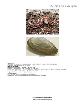 15 joias da evolução




                                      Thamnophis sirtalis   (CC 2.0 Steve Jurvetson - Wikimedia Commons)




                                                                  Mya arenaria




Referências
Geffeney, S. L., Fujimoto, E., Brodie, E. D., Brodie, E. D. Jr, & Ruben, P. C. Nature 434, 759–763 ( 2005).
Bricelj, V. M. et al. Nature 434, 763–767 (2005).
Recursos adicionais
Mitchell-Olds, T. & Schmitt, J. Nature 441, 947–952 (2006).
Bradshaw, H. D. & Schemske, D. W. Nature 426, 176–178 (2003).
Coltman, D. W., O’Donoghue, P, Jorgenson, J. T., Hogg, J. T. Strobeck, C. & Festa-Bianchet, M. Nature 426, 655–658 (2003).
Harper Jr, G. R. & Pfennig, D. W. Nature 451, 1103–1106 (2008).
Ellegren, H. & Sheldon, B. Nature 452, 169–175 (2008).
Sites dos autores
Shana Geffeney: http://wormsense.stanford.edu/people.html
Monica Bricelj: http://marine.biology.dal.ca/Faculty_Members/Bricelj,_Monica.php




                                                   www.nature.com/evolutiongems

                                                    http://evolucionismo.ning.com
 