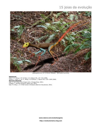 15 joias da evolução




                                        Epidexipteryx sp. (CC 3.0 Arthur Weasley - Wikimedia Commons)


Referências
Chen, P.-J., Dong, Z.-M. & Zhen, S.-N. Nature 391, 147–152 (1998).
Zhang, F., Zhou, Z., Xu, X., Wang, X. & Sullivan, C. Nature 455, 1105–1008 (2008).
Recursos adicionais
Gee, H. (ed.) Rise of the Dragon (Univ. Chicago Press, 2001).
Chiappe, L. Glorified dinosaurs (Wiley-Liss, 2007).
Gee, H. & Rey, L. V. A Field Guide to Dinosaurs (Barron’s Educational, 2003).




                                                   www.nature.com/evolutiongems

                                                    http://evolucionismo.ning.com
 