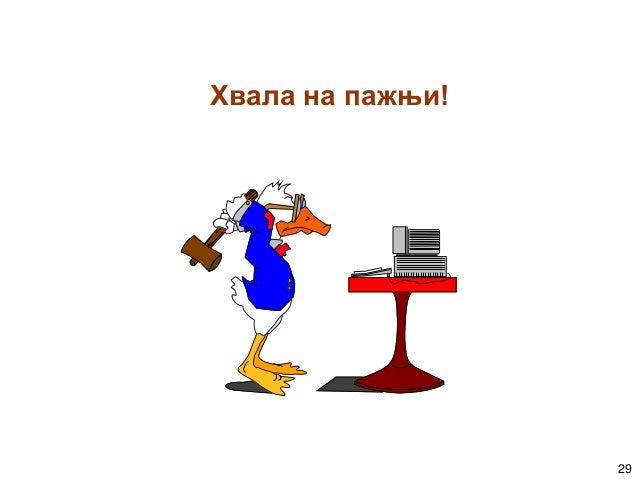 Софија Бекрић Информатика