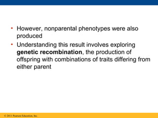 • However, nonparental phenotypes were also
produced
• Understanding this result involves exploring
genetic recombination, the production of
offspring with combinations of traits differing from
either parent
© 2011 Pearson Education, Inc.
 