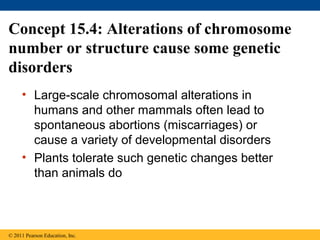 Concept 15.4: Alterations of chromosome
number or structure cause some genetic
disorders
• Large-scale chromosomal alterations in
humans and other mammals often lead to
spontaneous abortions (miscarriages) or
cause a variety of developmental disorders
• Plants tolerate such genetic changes better
than animals do
© 2011 Pearson Education, Inc.
 