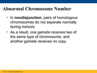 Abnormal Chromosome Number
• In nondisjunction, pairs of homologous
chromosomes do not separate normally
during meiosis
• As a result, one gamete receives two of
the same type of chromosome, and
another gamete receives no copy
© 2011 Pearson Education, Inc.
 
