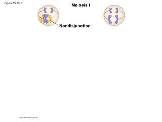 Meiosis I
Nondisjunction
Figure 15.13-1
 