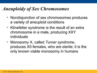 Aneuploidy of Sex Chromosomes
• Nondisjunction of sex chromosomes produces
a variety of aneuploid conditions
• Klinefelter syndrome is the result of an extra
chromosome in a male, producing XXY
individuals
• Monosomy X, called Turner syndrome,
produces X0 females, who are sterile; it is the
only known viable monosomy in humans
© 2011 Pearson Education, Inc.
 