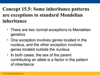 Concept 15.5: Some inheritance patterns
are exceptions to standard Mendelian
inheritance
• There are two normal exceptions to Mendelian
genetics
• One exception involves genes located in the
nucleus, and the other exception involves
genes located outside the nucleus
• In both cases, the sex of the parent
contributing an allele is a factor in the pattern
of inheritance
© 2011 Pearson Education, Inc.
 