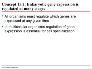 © 2014 Pearson Education, Inc.
Concept 15.2: Eukaryotic gene expression is
regulated at many stages
 All organisms must regulate which genes are
expressed at any given time
 In multicellular organisms regulation of gene
expression is essential for cell specialization
 