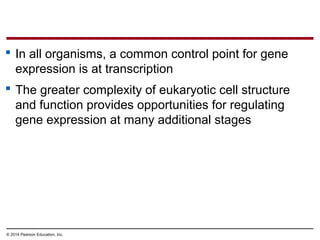 © 2014 Pearson Education, Inc.
 In all organisms, a common control point for gene
expression is at transcription
 The greater complexity of eukaryotic cell structure
and function provides opportunities for regulating
gene expression at many additional stages
 