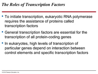 © 2014 Pearson Education, Inc.
The Roles of Transcription Factors
 To initiate transcription, eukaryotic RNA polymerase
requires the assistance of proteins called
transcription factors
 General transcription factors are essential for the
transcription of all protein-coding genes
 In eukaryotes, high levels of transcription of
particular genes depend on interaction between
control elements and specific transcription factors
 