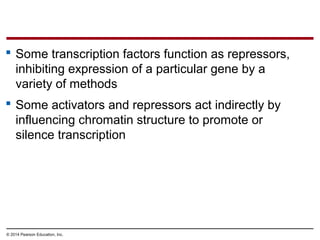 © 2014 Pearson Education, Inc.
 Some transcription factors function as repressors,
inhibiting expression of a particular gene by a
variety of methods
 Some activators and repressors act indirectly by
influencing chromatin structure to promote or
silence transcription
 