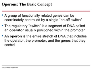 © 2014 Pearson Education, Inc.
Operons: The Basic Concept
 A group of functionally related genes can be
coordinately controlled by a single “on-off switch”
 The regulatory “switch” is a segment of DNA called
an operator usually positioned within the promoter
 An operon is the entire stretch of DNA that includes
the operator, the promoter, and the genes that they
control
 