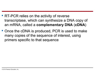 © 2014 Pearson Education, Inc.
 RT-PCR relies on the activity of reverse
transcriptase, which can synthesize a DNA copy of
an mRNA, called a complementary DNA (cDNA)
 Once the cDNA is produced, PCR is used to make
many copies of the sequence of interest, using
primers specific to that sequence
 
