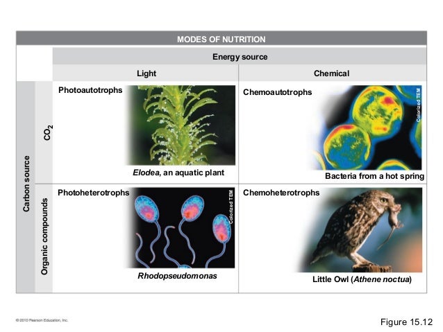 15 lecture presentation0
