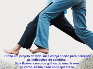 Tenha um projeto de vida, mas esteja aberto para perceber
as indicações do caminho.
Seja flexível como os galhos de uma árvore
ao vento, assim nada pode quebrá-lo.

 
