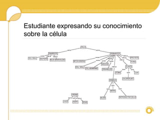 Estudiante expresando su conocimiento
sobre la célula
 