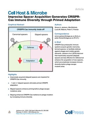 Article
Imprecise Spacer Acquisition Generates CRISPR-
Cas Immune Diversity through Primed Adaptation
Graphical Abstract
Highlights
d Imprecisely acquired (slipped) spacers are impaired for
CRISPR-Cas immunity
d 1 and +1 slipped spacers stimulate primed CRISPR
adaptation
d Slipped spacers enhance priming before phage escape
mutations arise
d Slipping enhances CRISPR-Cas resilience to phage mutation
by increasing immune diversity
Authors
Simon A. Jackson, Nils Birkholz,
Lucı́a M. Malone, Peter C. Fineran
Correspondence
simon.jackson@otago.ac.nz (S.A.J.),
peter.fineran@otago.ac.nz (P.C.F.)
In Brief
CRISPR-Cas prokaryotic immune
systems acquire genetic memories,
termed spacers, to facilitate defense
against phages and mobile genetic
elements. Jackson et al. (2018) discover
that imprecisely acquired (slipped)
spacers are less effective for defense but
enhance the acquisition of new spacers,
which pre-emptively increases immune
diversity before phage escape
mutants arise.
Jackson et al., 2019, Cell Host & Microbe 25, 250–260
February 13, 2019 ª 2019 Elsevier Inc.
https://doi.org/10.1016/j.chom.2018.12.014
 