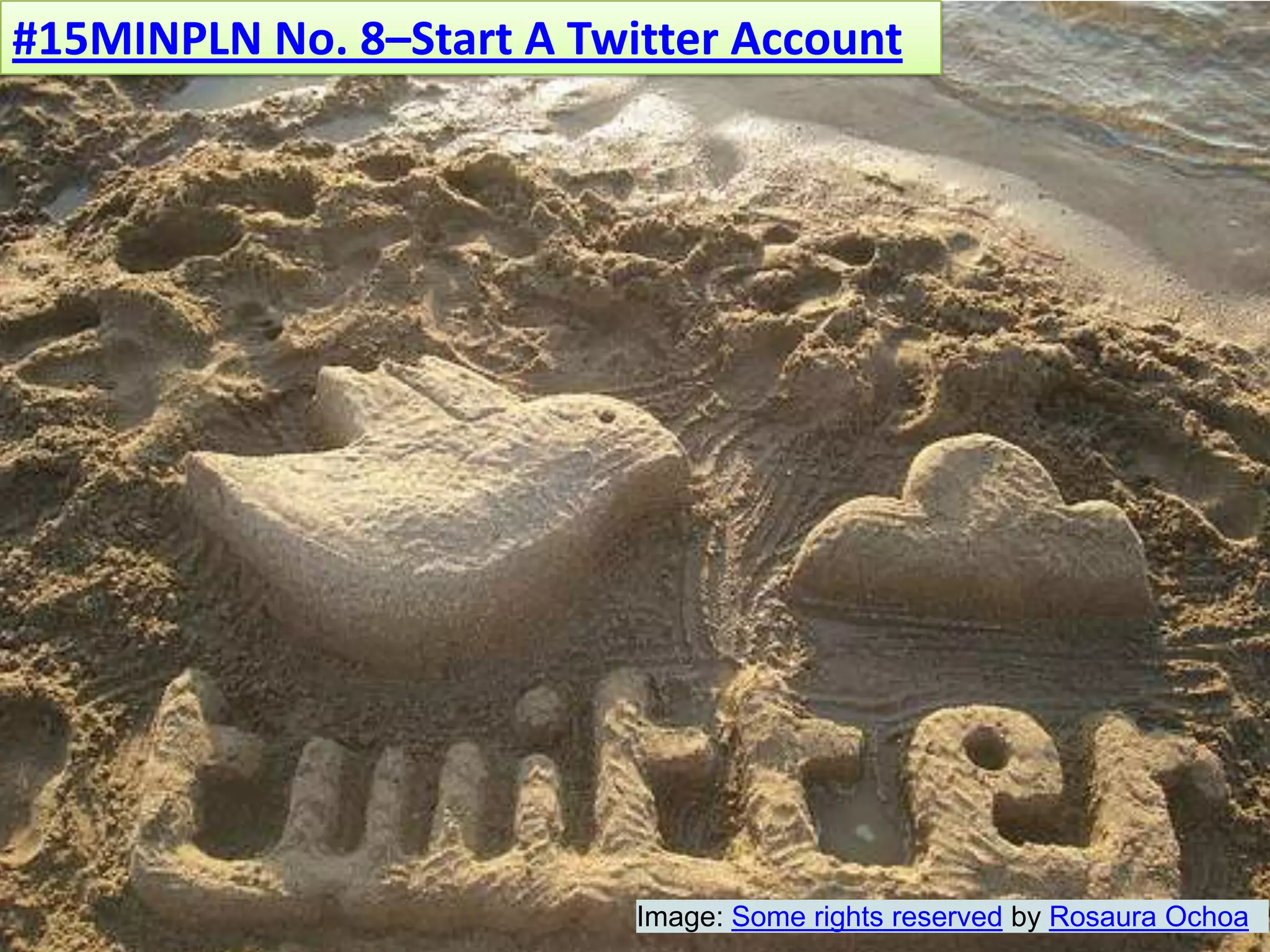 #15MINPLN No. 8–Start A Twitter AccountImage: Some rights reserved by Rosaura Ochoa