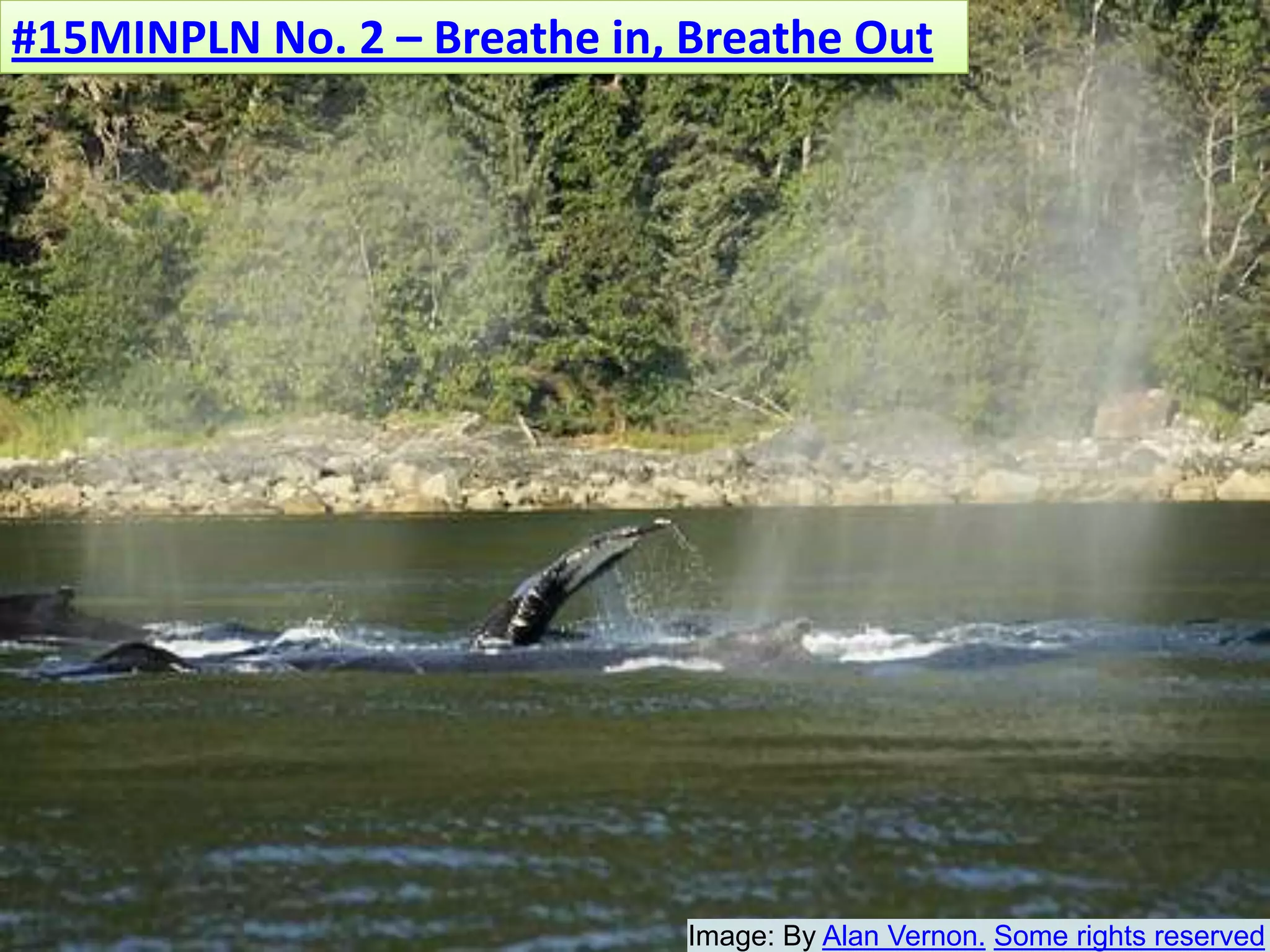 #15MINPLN No. 2 – Breathe in, Breathe OutImage: By Alan Vernon.Some rights reserved