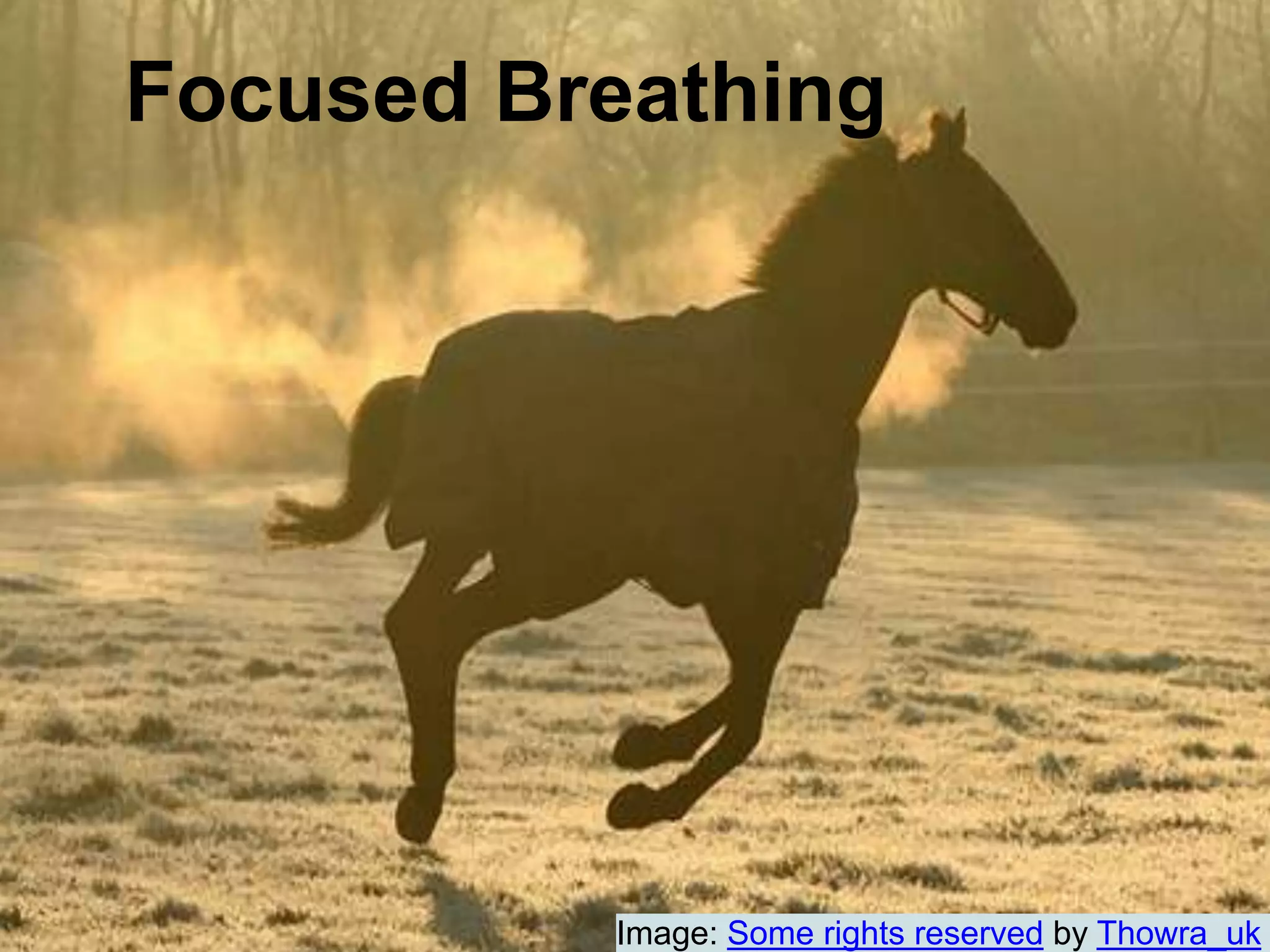 Focused BreathingImage: Some rights reserved by Thowra_uk
