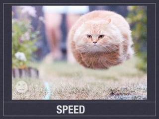 SPEED
 