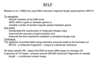 15 molecular markers techniques | PPT